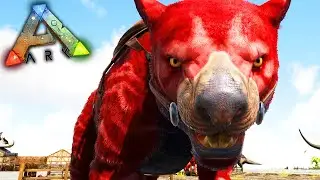 ARK PRIMITIVO #37 - Finalmente o LEÃO MARSUPIAL Vermelho!