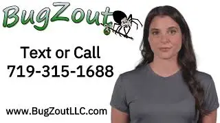 Local Pest Control in Canon City | Family-Owned | BugZout Pest Contro