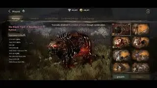 NXGAMES V4 RAPIER