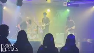 My Hero - Foo Fighters | Pistols N' Petals Live at The Cabana