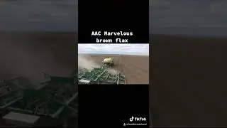 AAC Marvelous flax seeding