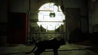 Stray - Chapter 3 The Flat: Main Door Code #3748 Location Torchlight Tutorial Gameplay Playstation 5