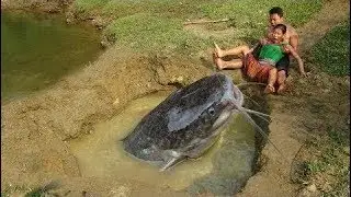 Survival Skills: Dig Big Deep Hole To Build Fish Trap Catch Big Catfish - Cooking Delicious Fish