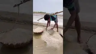White Salt Making Process | Traditional Method Explained | #JustNothing