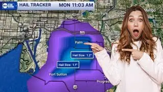MASSIVE TAMPA Shingle Roof Damage from June 2 Storm | 3-Tab Shingles Ripped Off | Free Inspections!