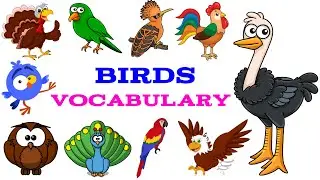 Birds name list-Birds vocabulary with picture-learn bird species in English