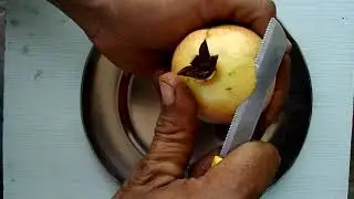 Cutting of pomogrant