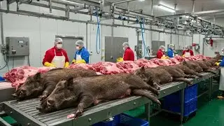 Как Техас борется с дикими кабанами с помощью масштабной системы производства мяса