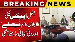 National Apex Committee meeting | PM Shahbaz Sharif In Action | Blasting Decision | PUBLIC NEWS