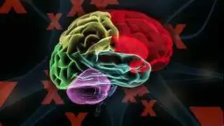TEDxCaltech: The Brain - Teaser - 1/18/13