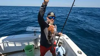 Back in Carrabelle - offshore fishing  - Red Grouper, Trigger Fish