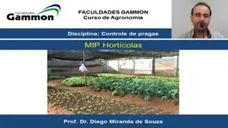 Manejo Integrado de Insetos Pragas das Hortícolas _ MIP Hortícolas