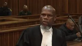 Adv Ramosepele upheka uGwabini ngemibuzo | Senzo Meyiwa Murder Trial 