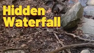 Dogs, Waterfalls & Mountain Trails Fall Creek Falls GA