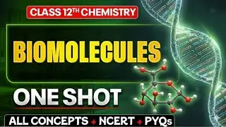 Biomolecules | Class 12 | Chemistry | One Shot | Best Explanation with Tricks