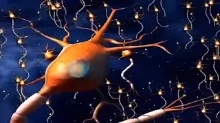 The Brain Song but everytime they repeat a word it loops