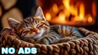 11 Hours Calming Music for Anxious Cats🐾Cat Music for Deep Relaxation🐱Anti Anxiety Music for Cats