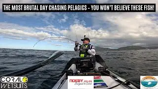 Wild Day at Sea – Monster Pelagics in Rough Cape Waters! 🌊🔥