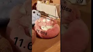 Imagine your dog sleeping comfortably! 🐾Soft Cuddle Bed Idea#shorts #youtubeshorts #temu #shopping