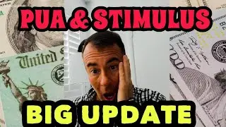 PUA PAYMENTS & STIMULUS | STATE FUEL TAX | PUTIN