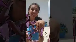 Bălăceală, banane coapte și treburi cotidiene ~Frânturi din viața noastră la țară~