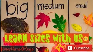 Learning Sizes (Big/Mediums/Small)Activity O⁠_⁠o🍂🍁🌿☘️ #activities #kidsplaying #learning #kidsfun