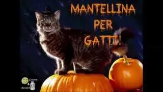 Pet Halloween | DIY Mantellina per Gatti