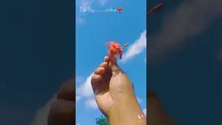 Whatsapp status video 2022 !!.👍Finger heart above sky stock🙂💓@Rva Syko Vlog