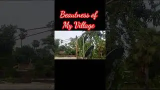 #villagelife  Gao wala video 😍 Gao ka video , Desi Status video