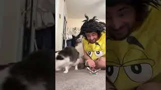 Маленький кузен наблюдает за кошкой! #комедия