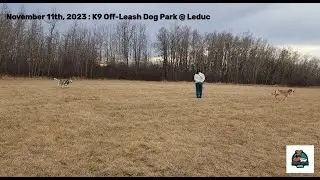 Remembrance Day dog park in Leduc