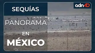 El panorama de las sequ&iacute;as en M&eacute;xico