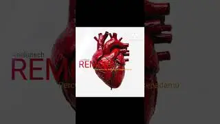 Remora-percuma ku memohon kepadamu.