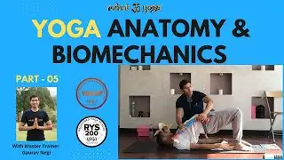 Part 5 Anatomy & Biomechanics for Yoga & Fitness Professionals (Thoracic Spine)