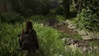The last of us 2 morte permanente