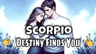 Scorpio Tarot February 👉 Love Is Chasing You (This Isn&rsquo;t an Accident!)