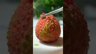 Lichi || Short video || All India camping
