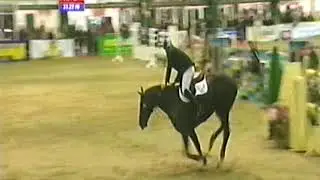 Billy Congo   William Funnell   Scope Festival Of Showjumping
