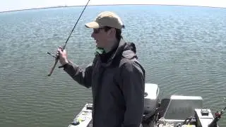 All Kinds of Catfish at Lasalle Lake
