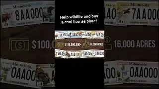 Over $100 Million for Wildlife Habitat from these License Plates