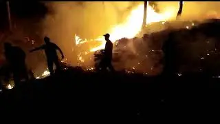 These days the activists of RSS unit Nowshera are trying to extinguish the fire in the forests