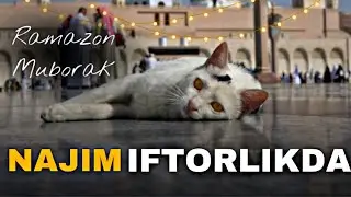 NAJIM HAMMANI RAMAZON BILAN TABRIKLAYDI | OBUNA BOLING
