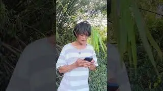 Rice dealer ya pala