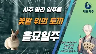 사주 공부에 도움이 될 일주론 을묘일주에 대한 전반적인 설명