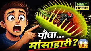 पौधा 🌳 मांसाहारी 🦴 कैसे? 😱 | Jeev Jagat Ka Vargikaran Part-24