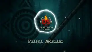 Pulsul Codrilor | Ethnic Techno Moldova