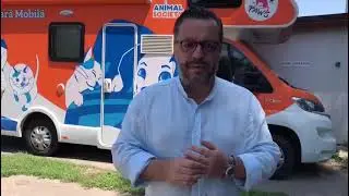 Domnul viceprimar Ionut Rusu, &icirc;n vizită la clinica mobilă Animal Society