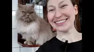 Amsterdam Cat Boat - Meet the Cats!