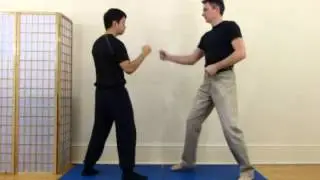 Practical Chinese Boxing: Wind & Void System Vol.1 - 1.7. Straight Punch/Jab (demo)