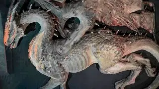 Mögliche Beweise dafür, dass es tatsächlich Drachen gegeben hat!